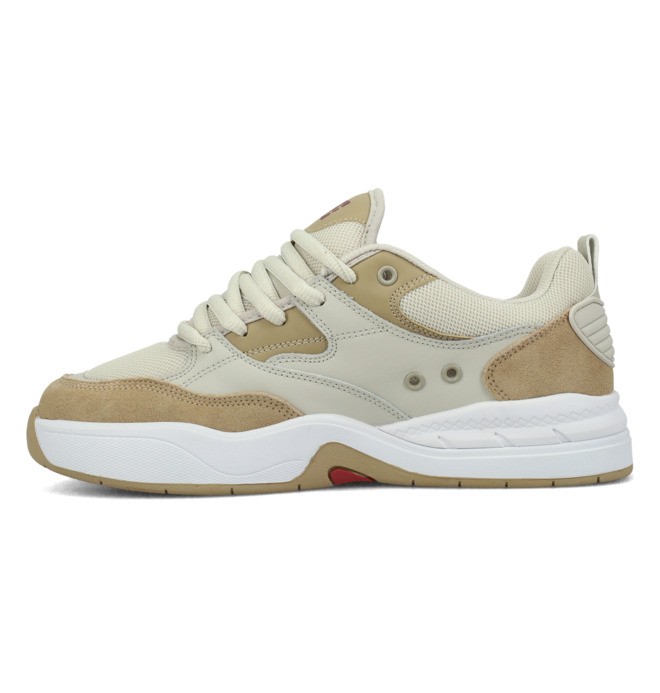 DC Ascend - Laceup Shoes for Men  ADYS100844