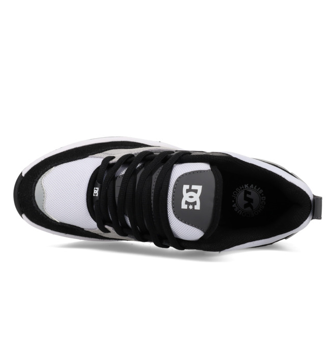 DC Ascend S - Leather Skate shoes for Men ADYS100852