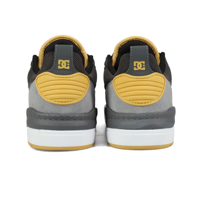 DC Ascend S - Leather Skate shoes for Men  ADYS100852