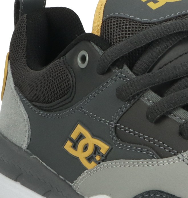 DC Ascend S - Leather Skate shoes for Men  ADYS100852