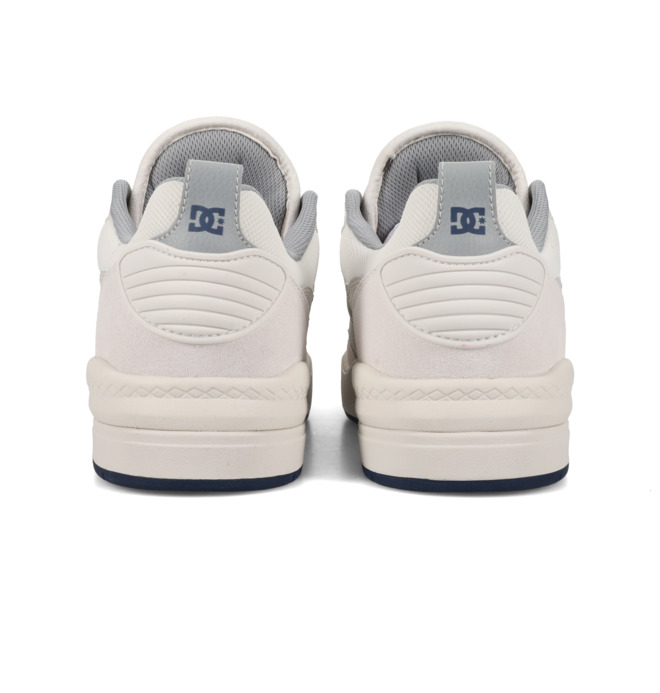 DC Ascend S - Leather Skate shoes for Men  ADYS100852