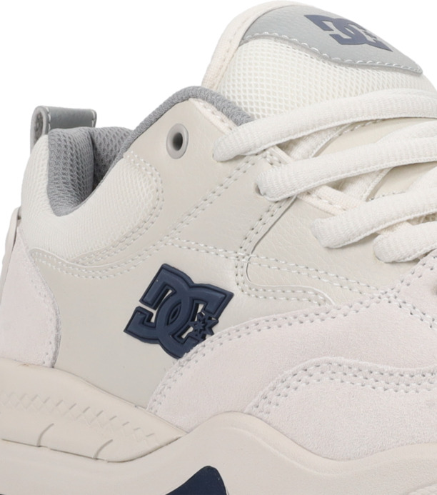 DC Ascend S - Leather Skate shoes for Men  ADYS100852