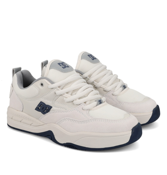 DC Ascend S - Leather Skate shoes for Men  ADYS100852