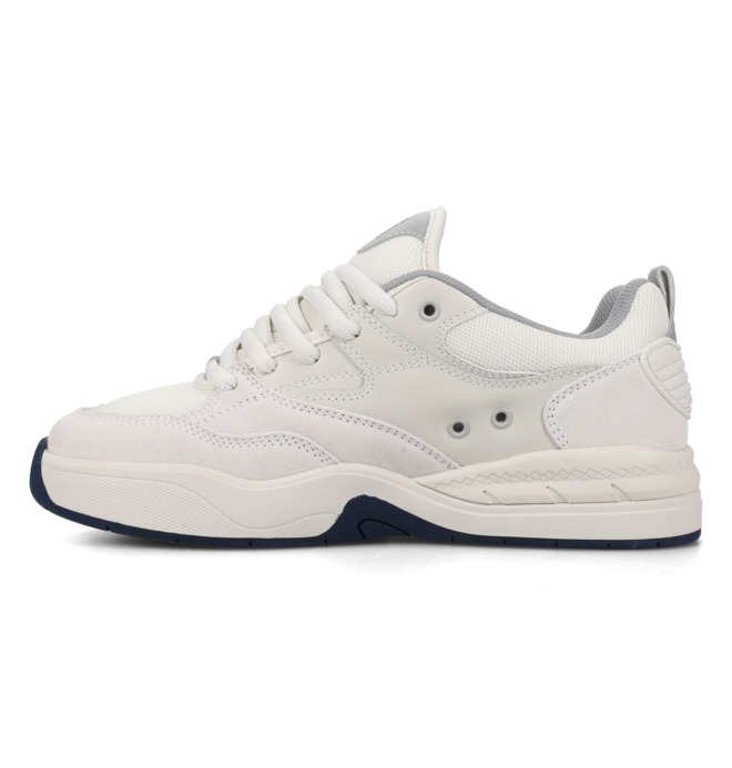 DC Ascend S - Leather Skate shoes for Men  ADYS100852