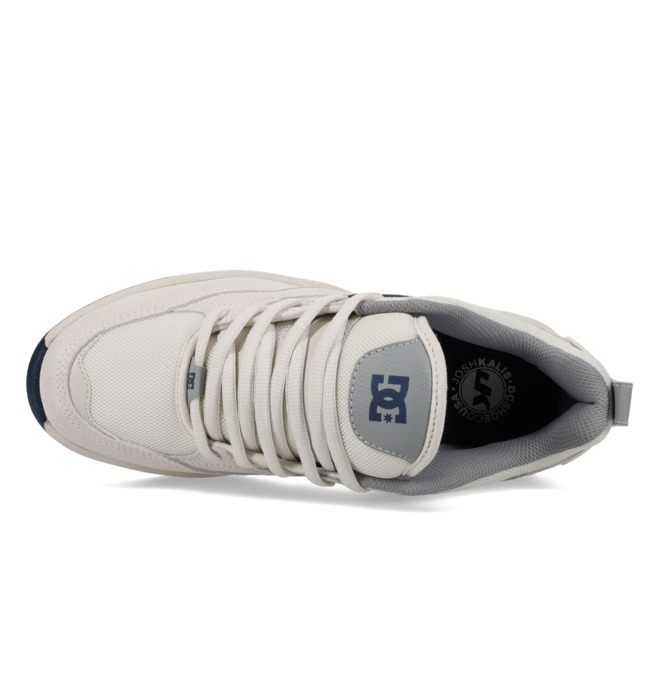 DC Ascend S - Leather Skate shoes for Men  ADYS100852