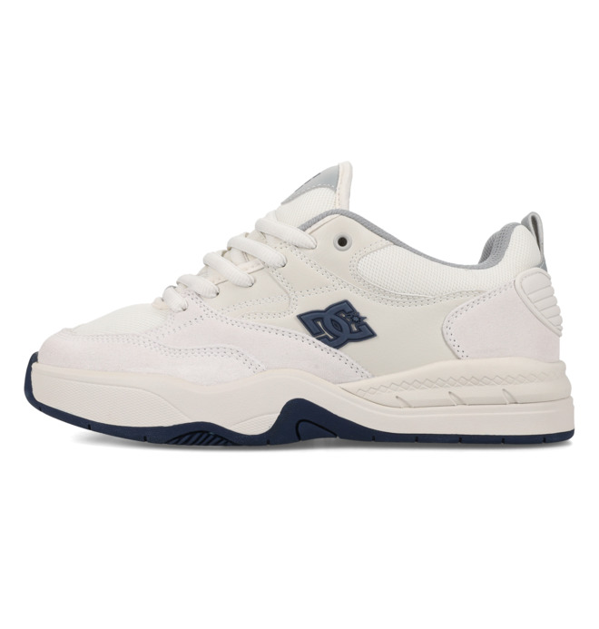 DC Ascend S - Leather Skate shoes for Men  ADYS100852