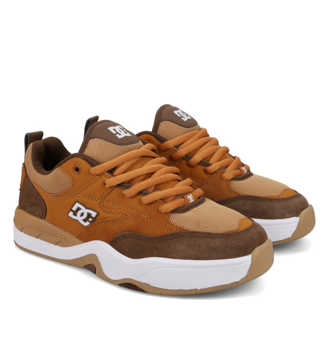 DC Ascend S - Leather Skate shoes for Men  ADYS100852