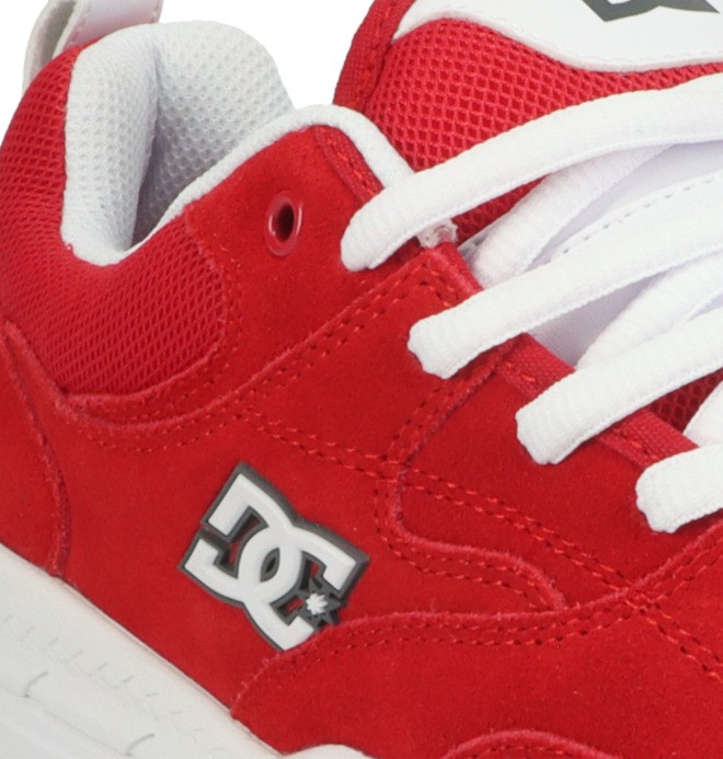 DC Ascend Le - Lace Up Shoes for Men ADYS100856