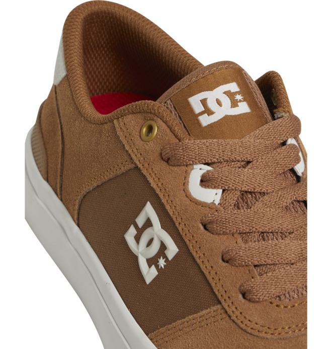 Teknic S - Skate Shoes for Men  ADYS300739