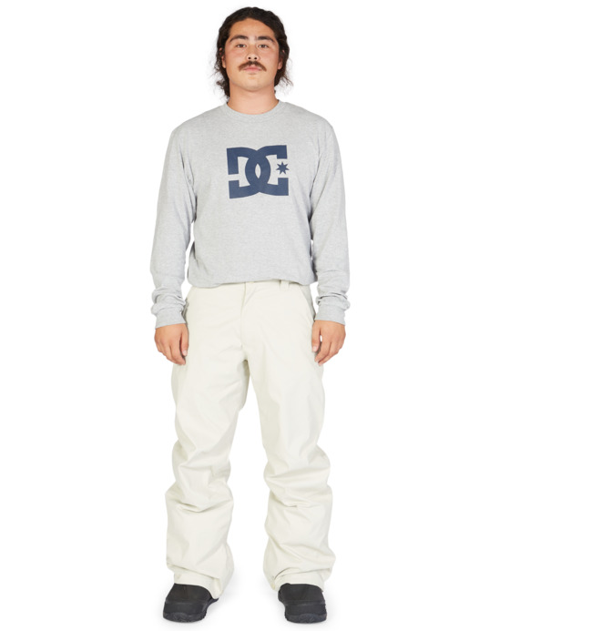 DC Snow - Technical Snow Pants for Men  ADYTP03031