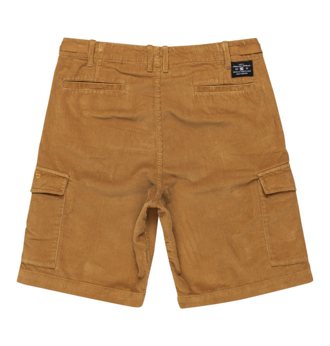 Pipeline 22.5" - Cargo Walkshorts for Men  ADYWS03081