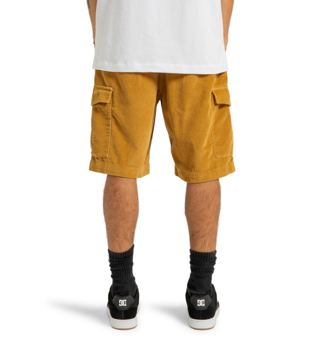 Pipeline 22.5" - Cargo Walkshorts for Men  ADYWS03081