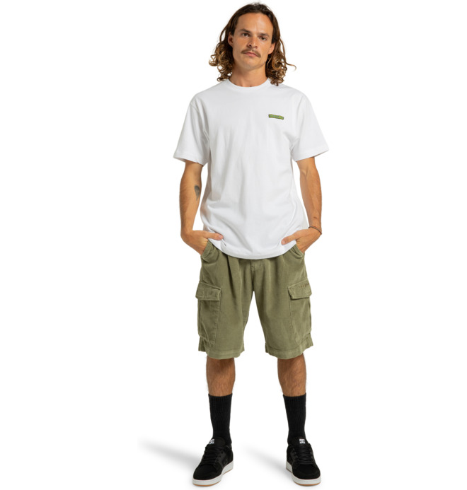 Pipeline 22.5" - Cargo Walkshorts for Men  ADYWS03081