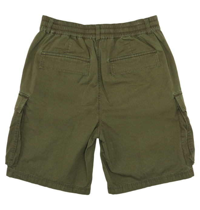 Tundra 22" - Cargo Walkshorts for Men  ADYWS03086