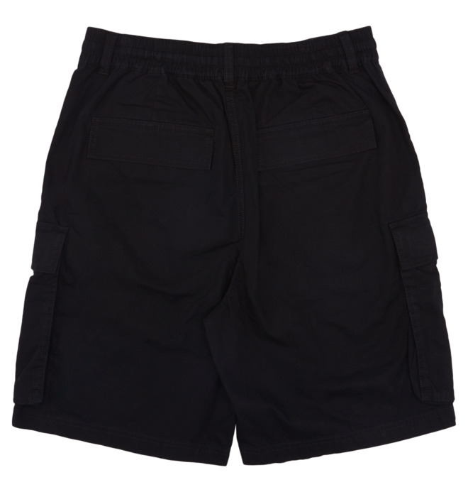 Tundra 22" - Cargo Walkshorts for Men  ADYWS03086