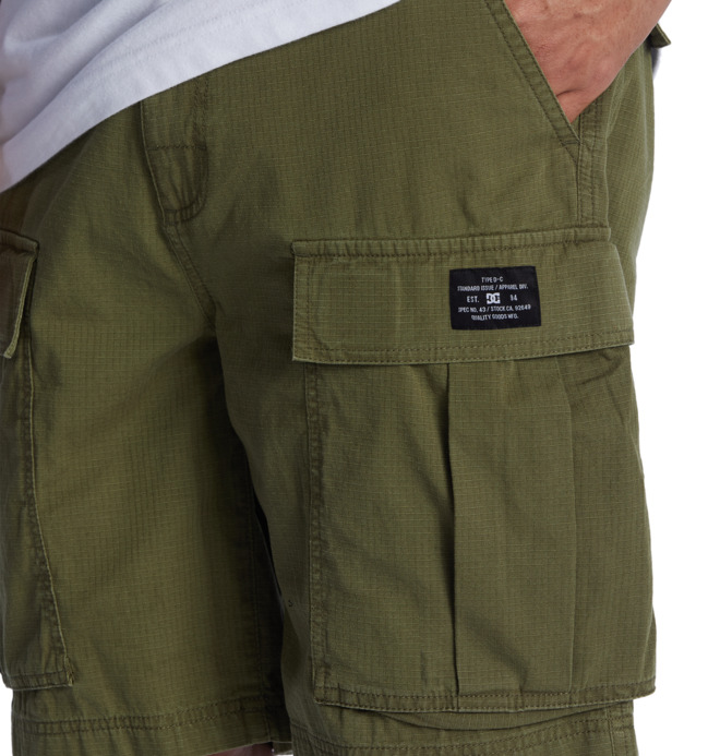 Tundra 22" - Cargo Walkshorts for Men  ADYWS03086