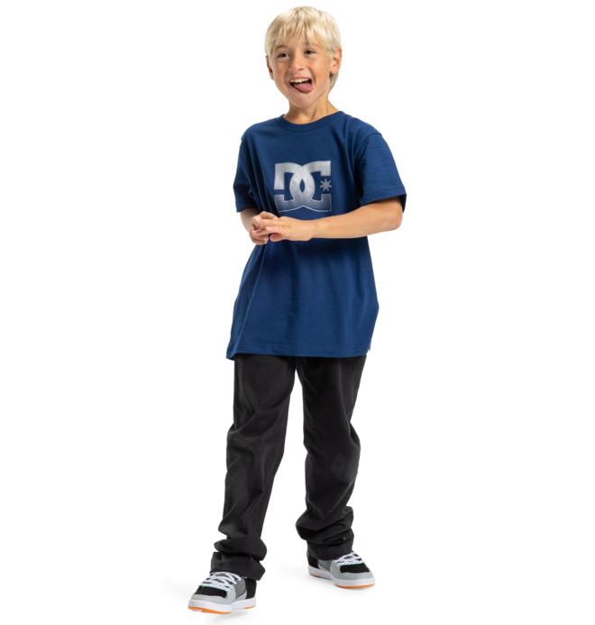 DC Star Reflective - Short Sleeve T-Shirt for Boys 8-16  EDBZT03435