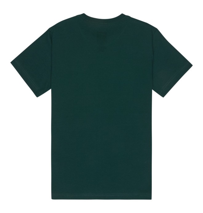 DC Star Filled - Short Sleeve T-Shirt for Boys 8-16  EDBZT03446