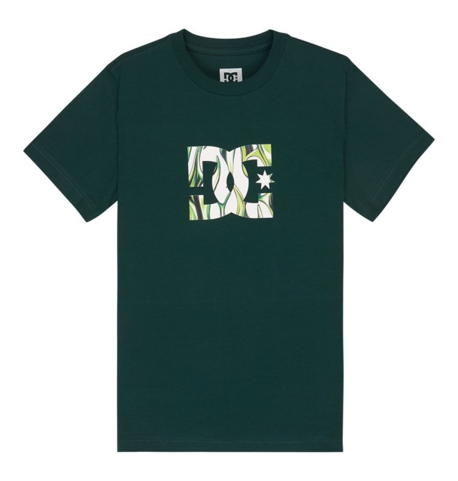 DC Star Filled - Short Sleeve T-Shirt for Boys 8-16  EDBZT03446