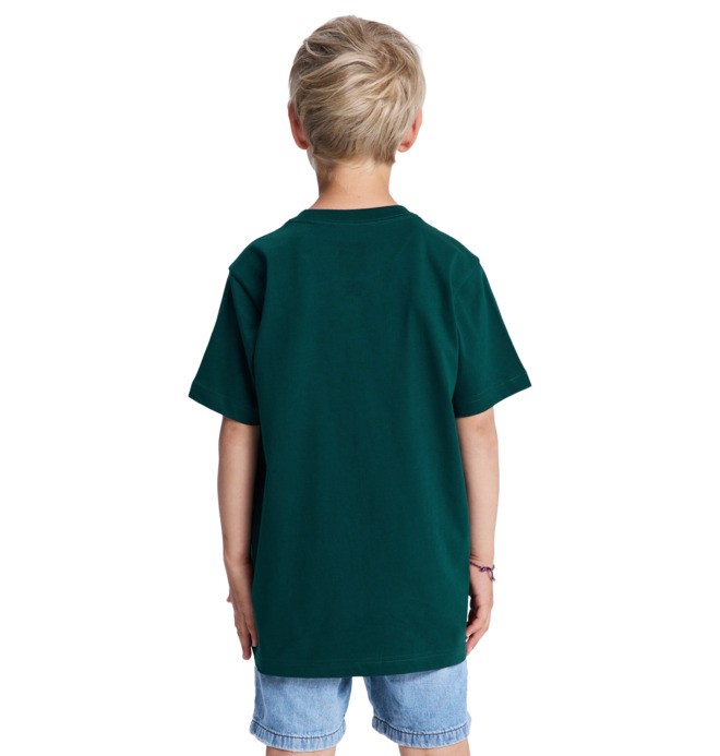 DC Star Filled - Short Sleeve T-Shirt for Boys 8-16  EDBZT03446