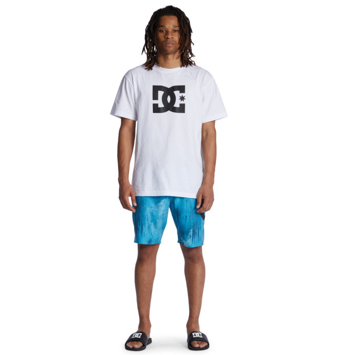 Sense All 19" - Board Shorts for Men EDYBS03104