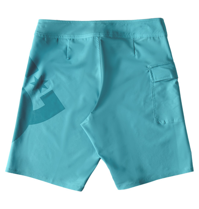 Lanai 21" - Board Shorts for Men  EDYBS03106