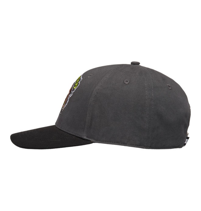 Couch Chilling - Snapback Cap for Men  EDYHA03197