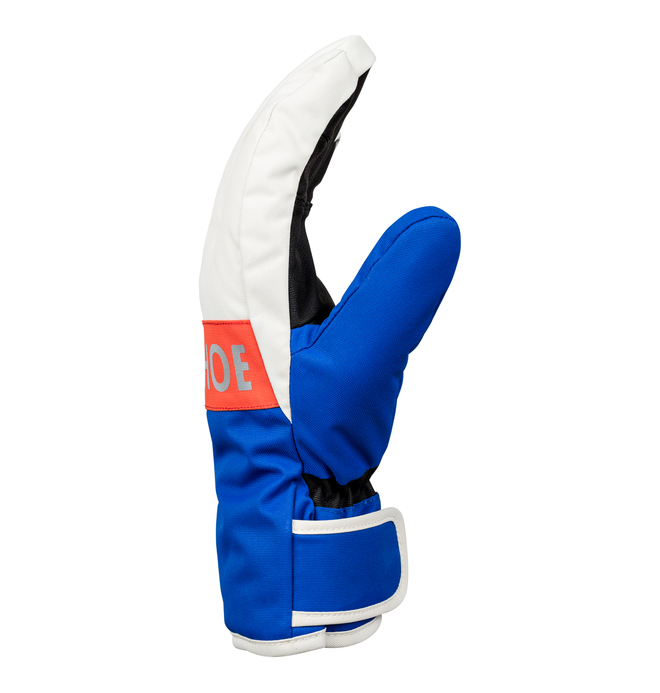 Franchise - Ski/Snowboard Gloves for Men  EDYHN03036