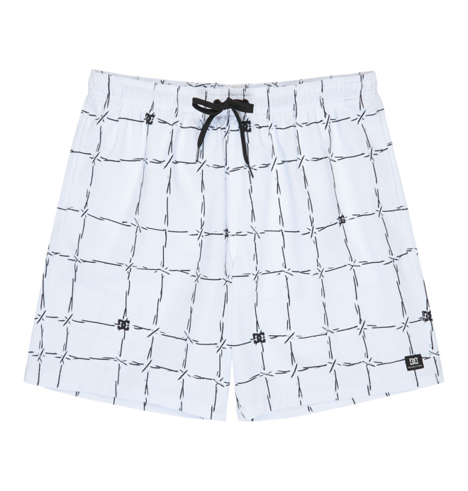 DC Wired Volley 19" - Swim Shorts for Men  EDYJV03030