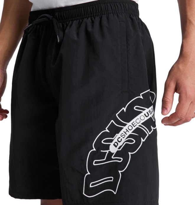 DC Omega Volley 19" - Swim Shorts for Men  EDYJV03031