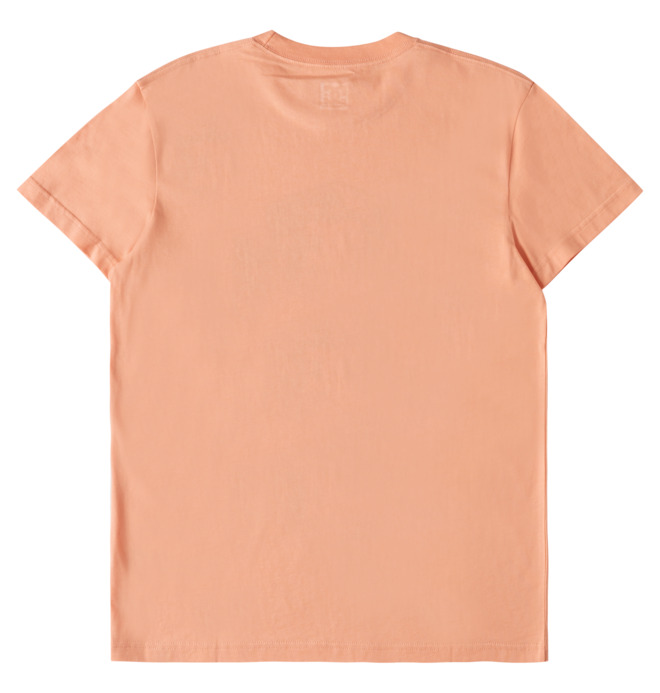 Chain Link - T-Shirt for Men  EDYZT04279