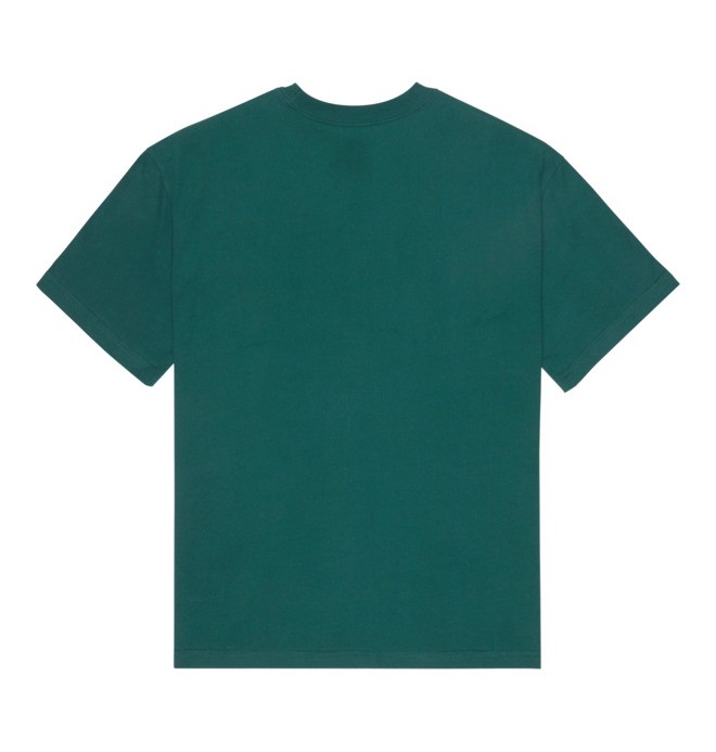 DC Star Filled - Short Sleeve T-Shirt for Men  EDYZT04410