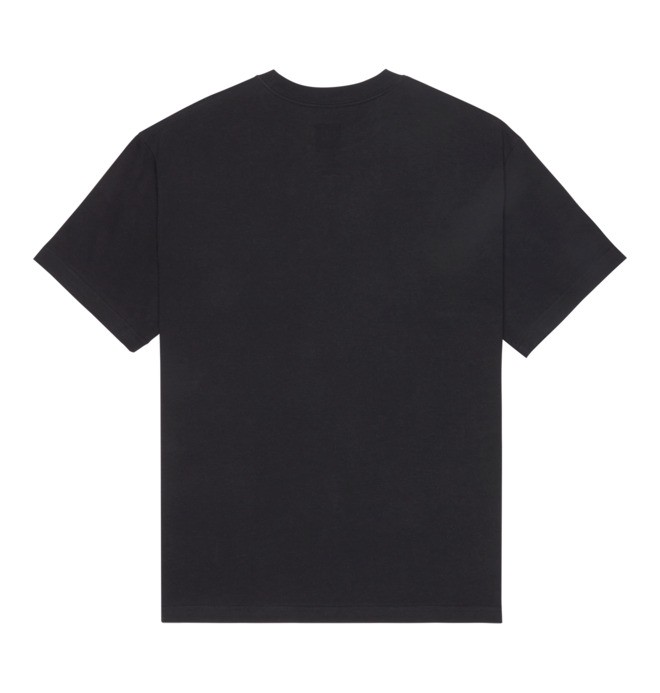 DC Star Filled - Short Sleeve T-Shirt for Men  EDYZT04410