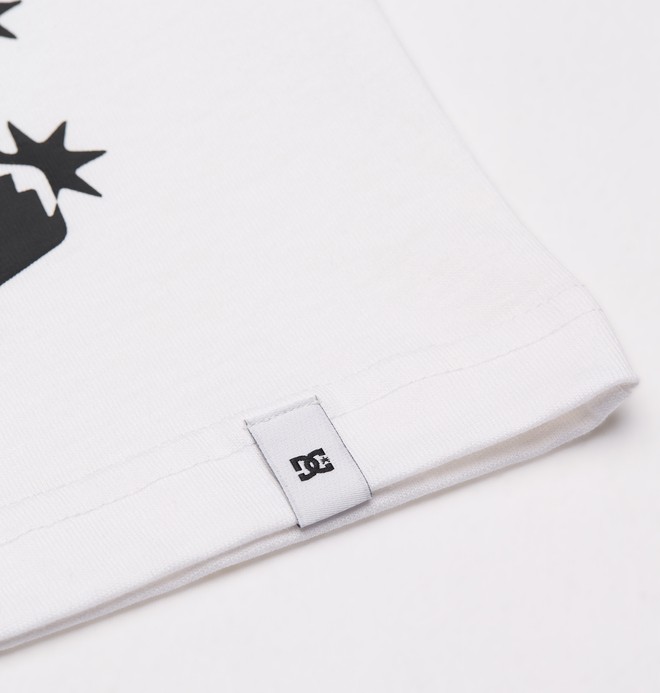 DC Side Flame  EDYZT04488