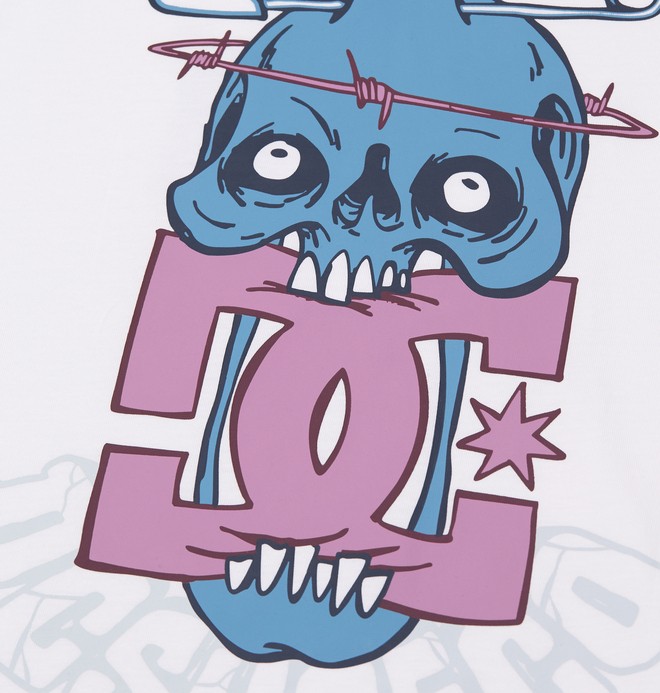 DC Safety Skull  EDYZT04490