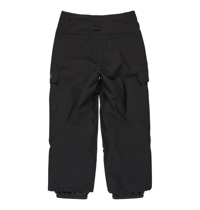DC Wide Cargo 10K - Technical Snow Pants for Men  GDYTP03000