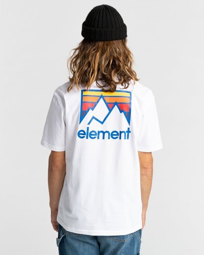 JOINT SS  ALYZT00284