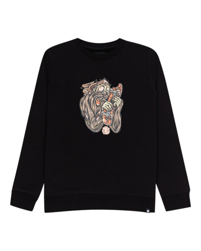 Bite - Sweatshirt for Boys 8-16  C2CRB4ELP2