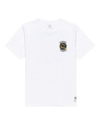 Covered - Short Sleeve T-Shirt for Boys 8-16  C2SSD7ELP2