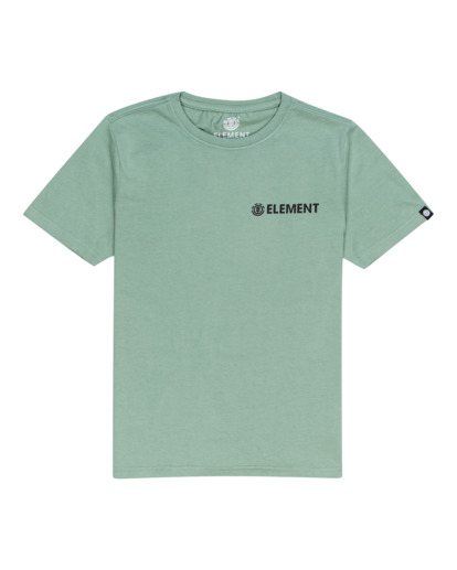 Blazin' Chest - Short Sleeve T-Shirt for Boys 8-16  C2SSE1ELP2