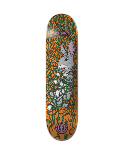 Trapped Schaar 8.25" - Skateboard Deck  C4DCC1ELP2