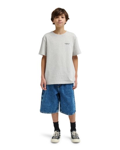 Big - Carpenter Shorts for Boys 8-16  ELBDS03003
