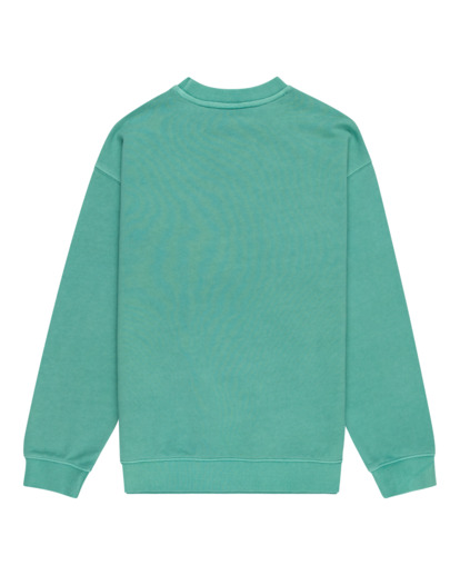 Cornell 3.1 - Sweatshirt for Boys 8-16  ELBFT00110