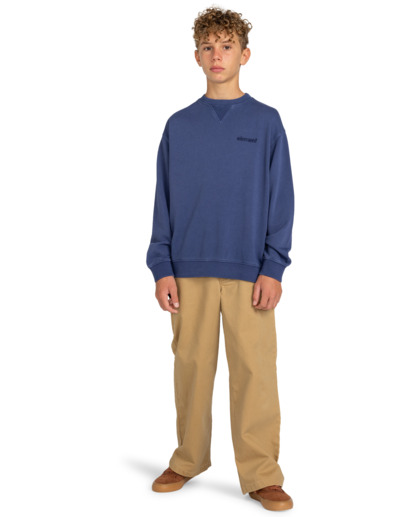 Cornell 3.1 - Sweatshirt for Boys 8-16  ELBFT00110