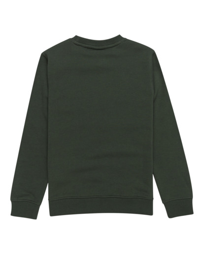 Cornell Classic - Pullover Sweatshirt for Boys 8 - 16  ELBFT00124