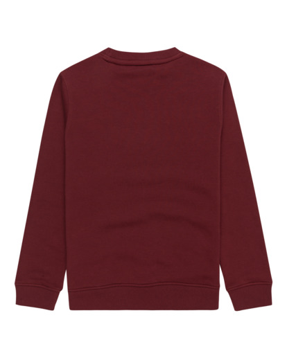 Cornell Classic - Pullover Sweatshirt for Boys 8 - 16  ELBFT00124