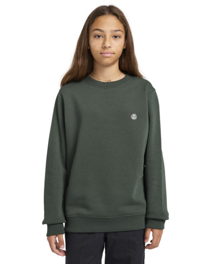 Cornell Classic - Pullover Sweatshirt for Boys 8 - 16  ELBFT00124