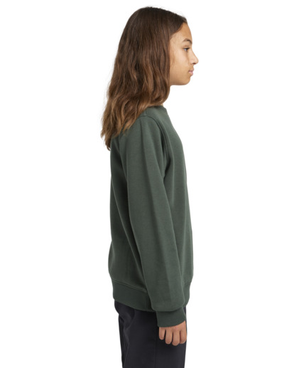 Cornell Classic - Pullover Sweatshirt for Boys 8 - 16  ELBFT00124