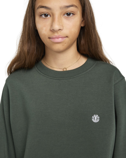 Cornell Classic - Pullover Sweatshirt for Boys 8 - 16  ELBFT00124