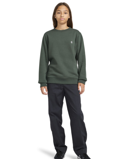 Cornell Classic - Pullover Sweatshirt for Boys 8 - 16  ELBFT00124